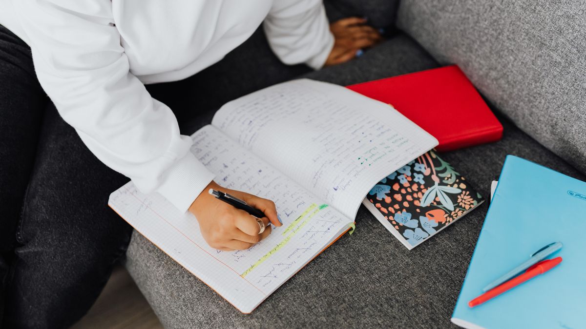 woman studying with notebook at home
