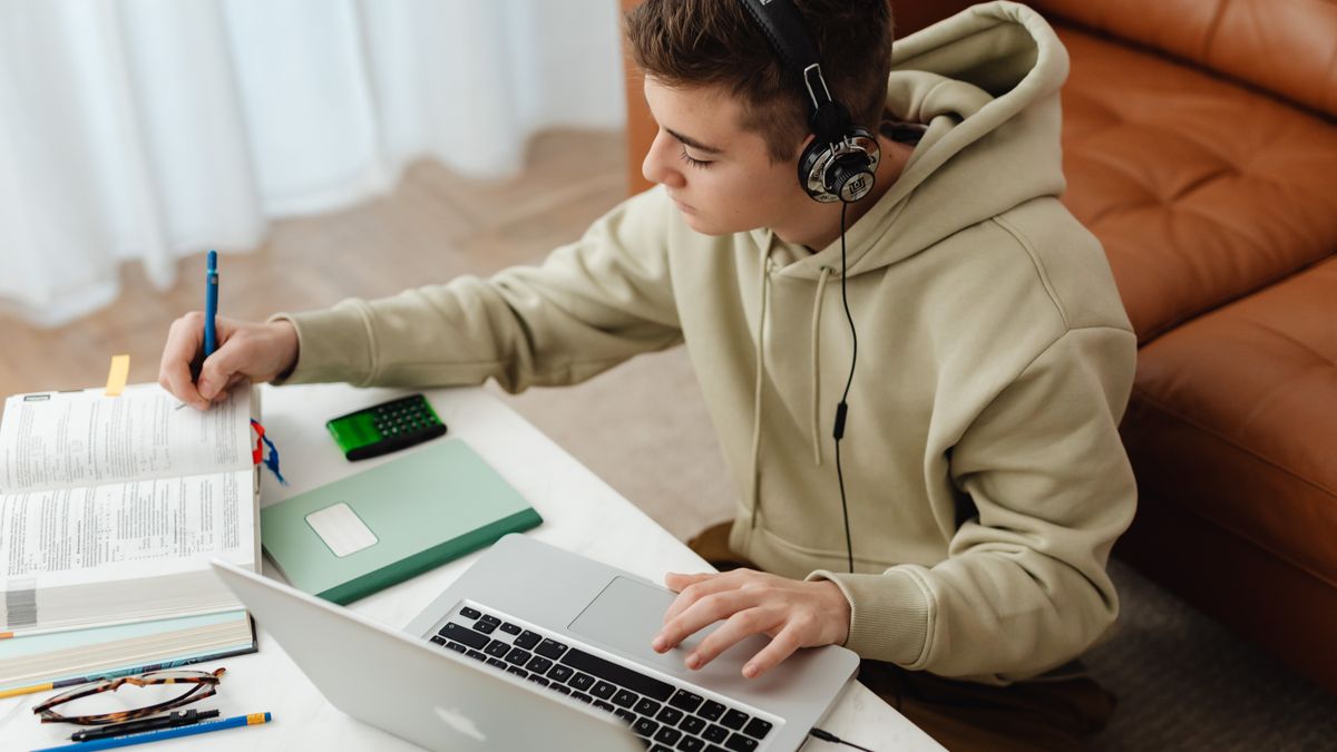 person studying laptop notebook desk