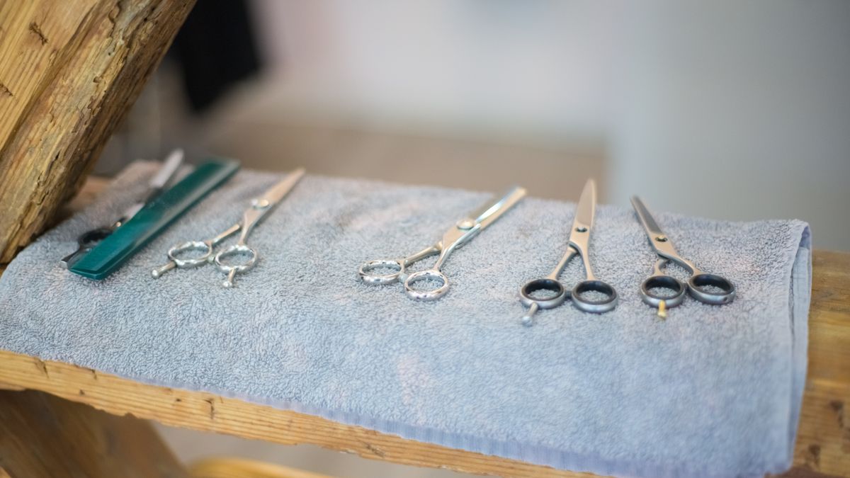 dog grooming scissors tools closeup