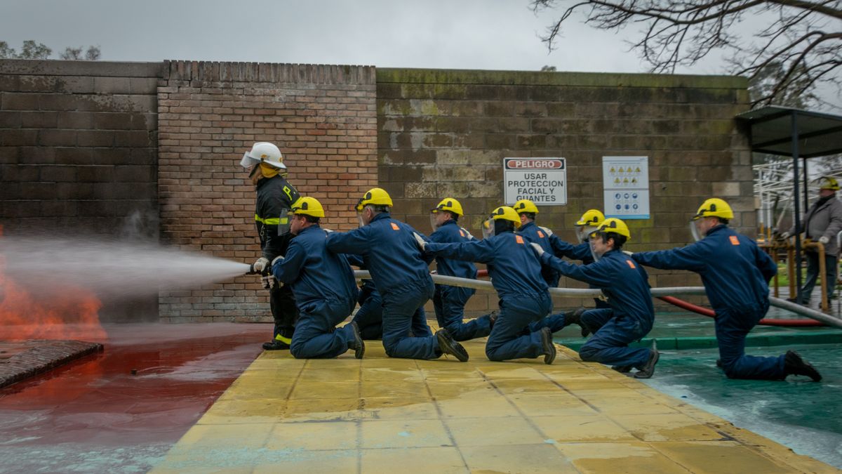 office staff disaster drill