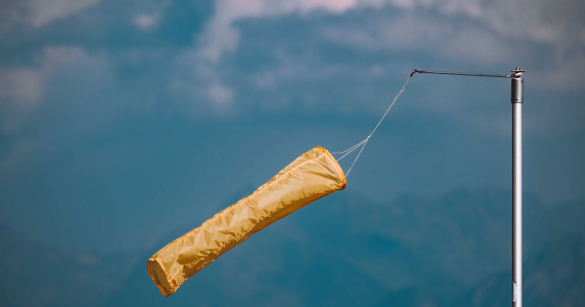 Photo by Francesco Ungaro on Pexels